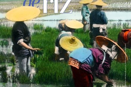 terres de riz poster exposition