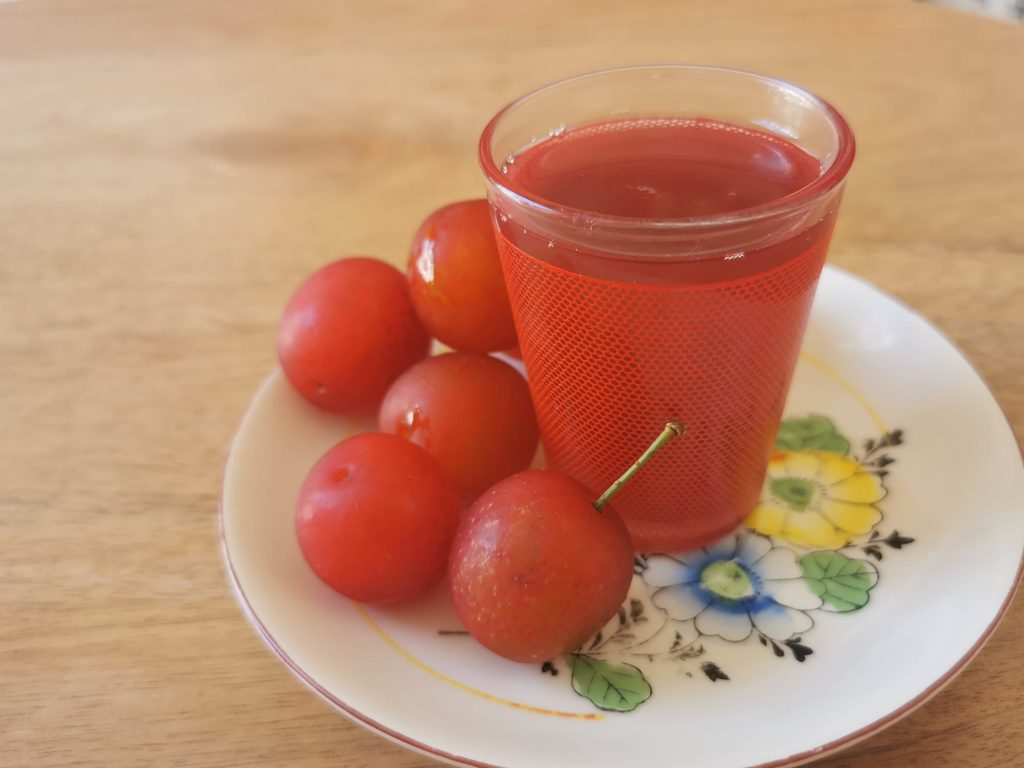 kompot polonais